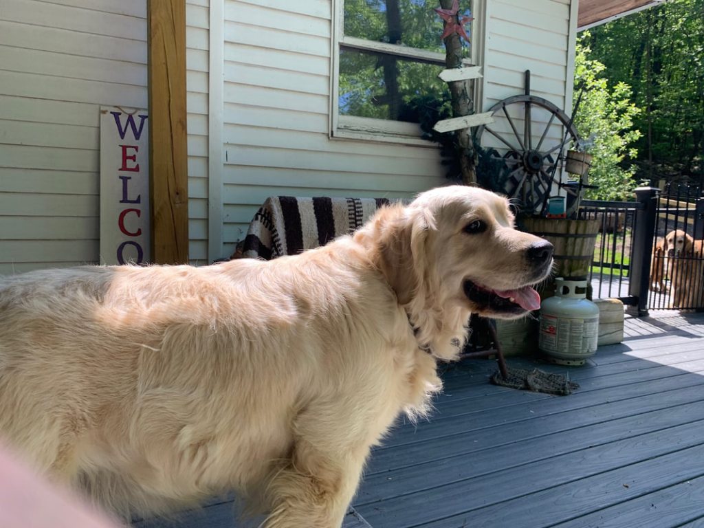 Rainbow's Summer Time Breeze