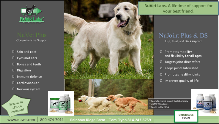 Nuvet-Labs
